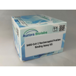 SARS-CoV-2 Nucleocapsid Protein Binding Kit (For rabbit antibody) 